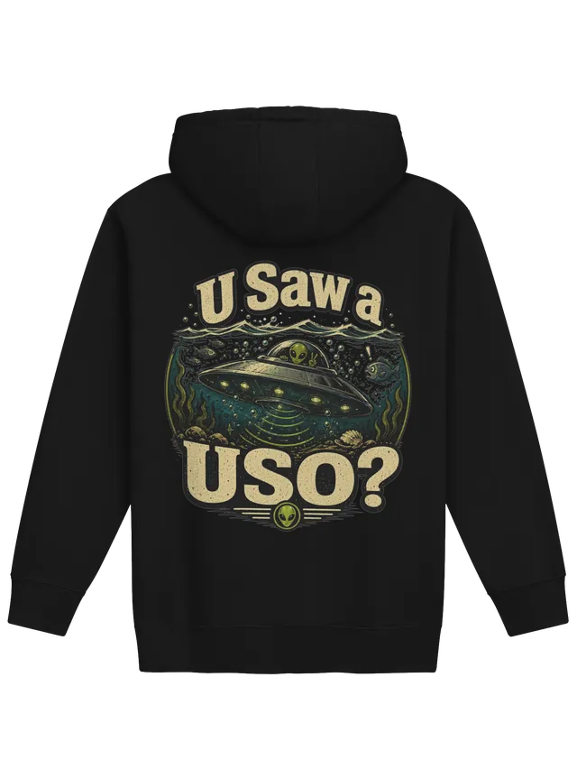 U Saw A USO? hoodie preview